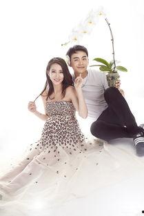 弦子爆料最新消息,娱乐圈最新动态大揭秘！  第1张